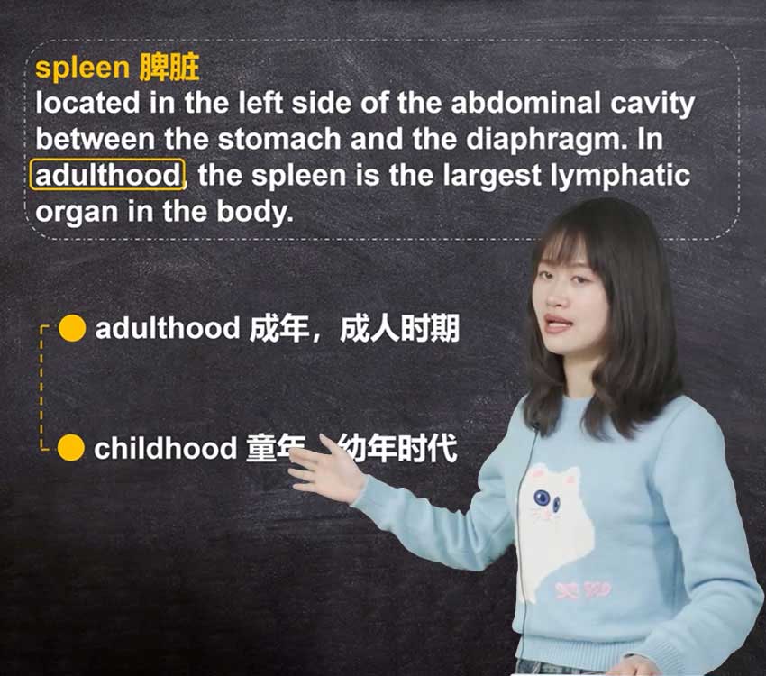 ispn词汇课